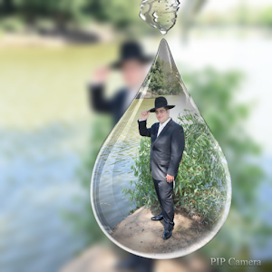 תמונת משתמש