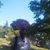 Lior