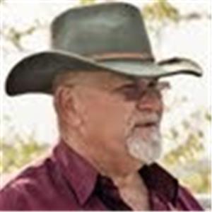 תמונה גנרית לכותב חוות דעת