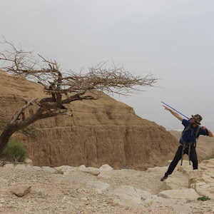 תמונת משתמש