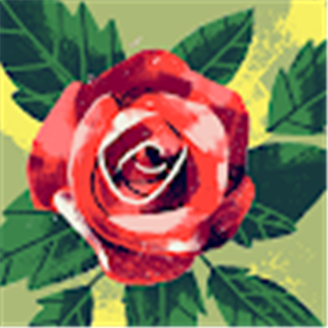 תמונת משתמש