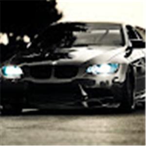 תמונת משתמש