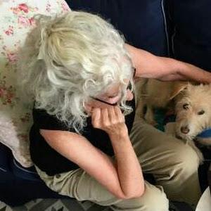 תמונת משתמש