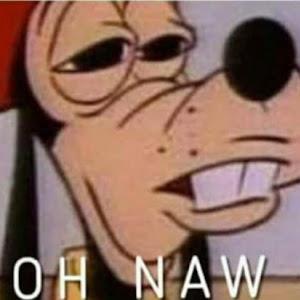 תמונת משתמש