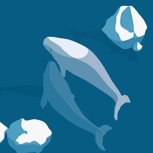 תמונת משתמש