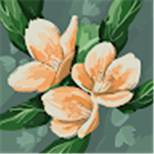 תמונת משתמש