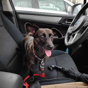 תמונת משתמש