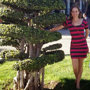 תמונת משתמש