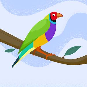 תמונת משתמש