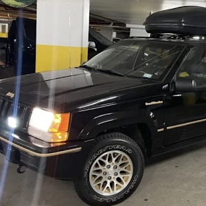 תמונת משתמש