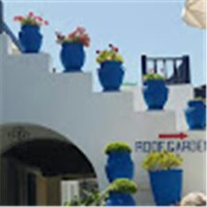 תמונת משתמש