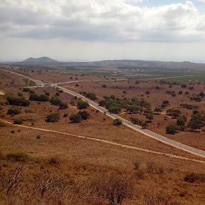 תמונת משתמש