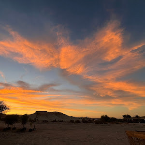 תמונת משתמש
