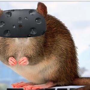 יניב