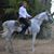 Moshe