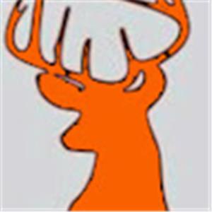 תמונת משתמש