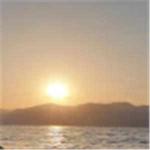 יוסי מורד - תמונה