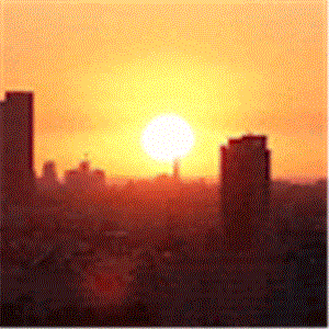 תמונת משתמש