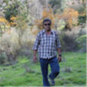 תמונת משתמש