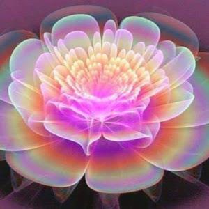 orna207 - תמונה orna207 - תמונה