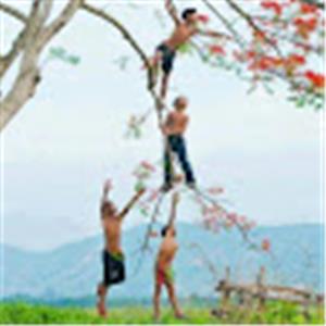 תמונת משתמש