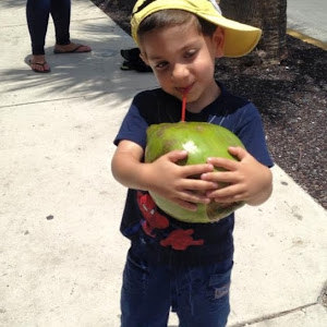 מלכה - תמונה