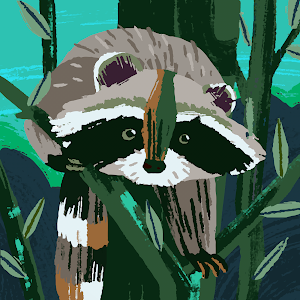 תמונת משתמש