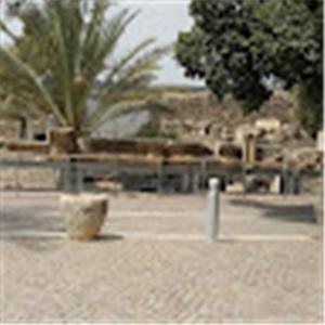 תמונת משתמש