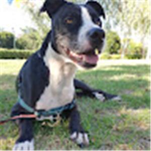 תמונת משתמש