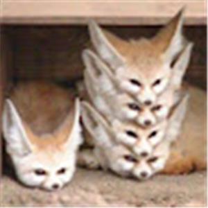 תמונת משתמש