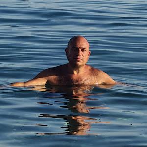 תמונת משתמש