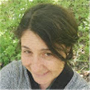 יונה - תמונה יונה - תמונה