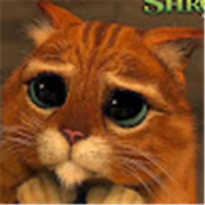 תמונת משתמש