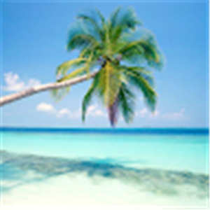 תמונת משתמש