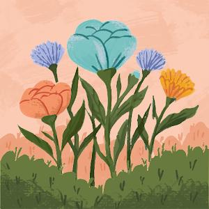 תמונת משתמש