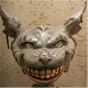 תמונת משתמש