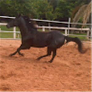 תמונת משתמש