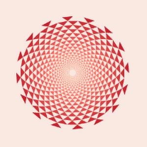 שלי  - תמונה