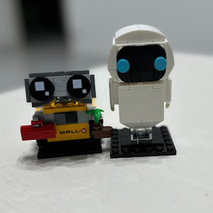 תמונת משתמש