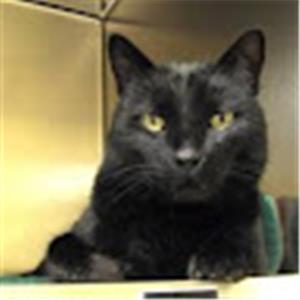 תמונת משתמש