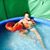 Yuval
