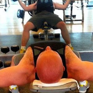 תמונת משתמש