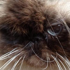 תמונת משתמש