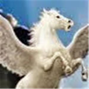 תמונת משתמש