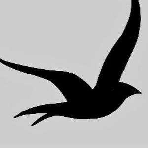 תמונת משתמש