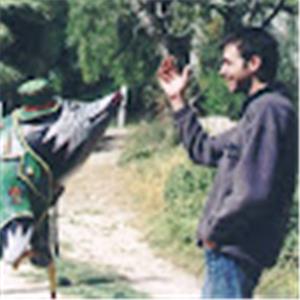 תמונת משתמש