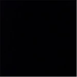 תמונת משתמש