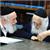 תמונה גנרית לכותב חוות דעת תמונה גנרית לכותב חוות דעת