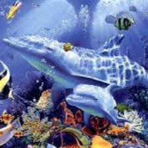 תמונת משתמש