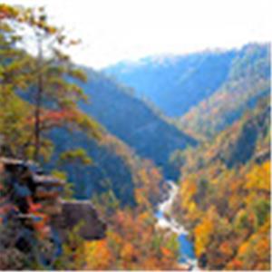 תמונת משתמש